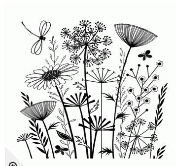 Summer Meadow