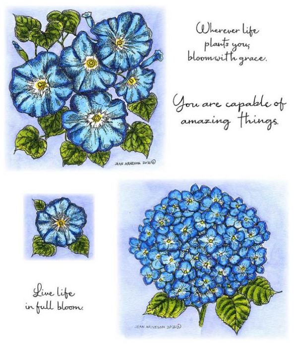 Morning Glory and Hydrangea