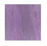 Plumtastic Shimmer Luster Gilding Polish