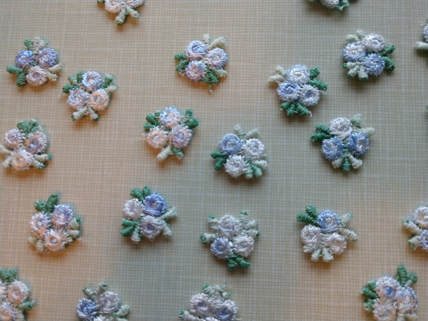 Varigated Flower Cluster