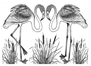 Pretty Flamingos Rubber Stamp