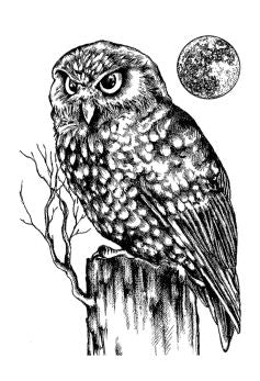 Owl and Moon Stamp