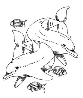 Dolphins and Little Fishes Rubber Stamp