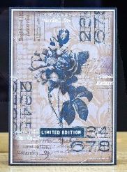 Faded Type Stamp Set