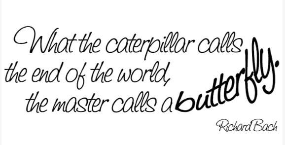 The Caterpillar Calls