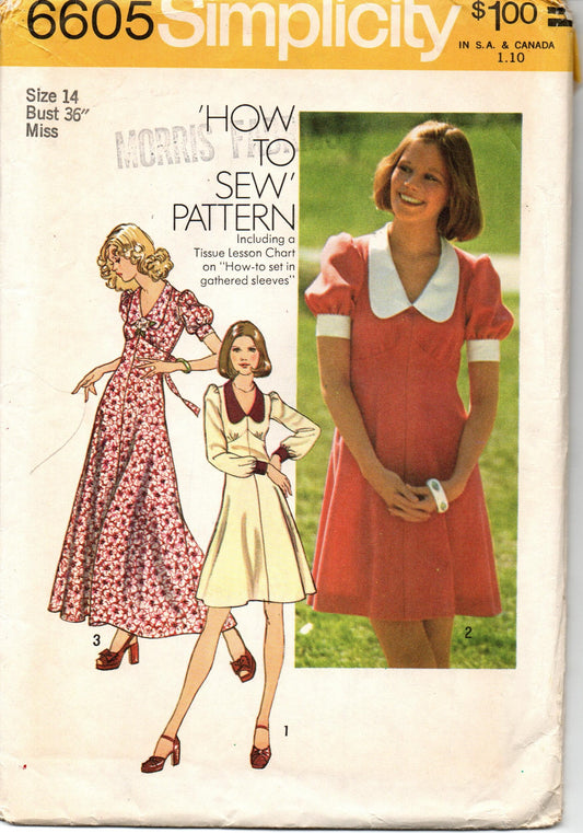 Simplicity Pattern 6605